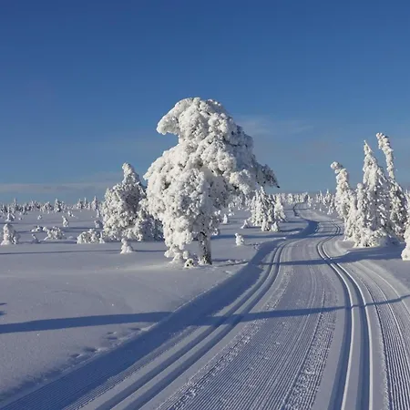 Guest house Gaupa - Natur & Ski - 5 Soverom - 60 Min Osl Loten